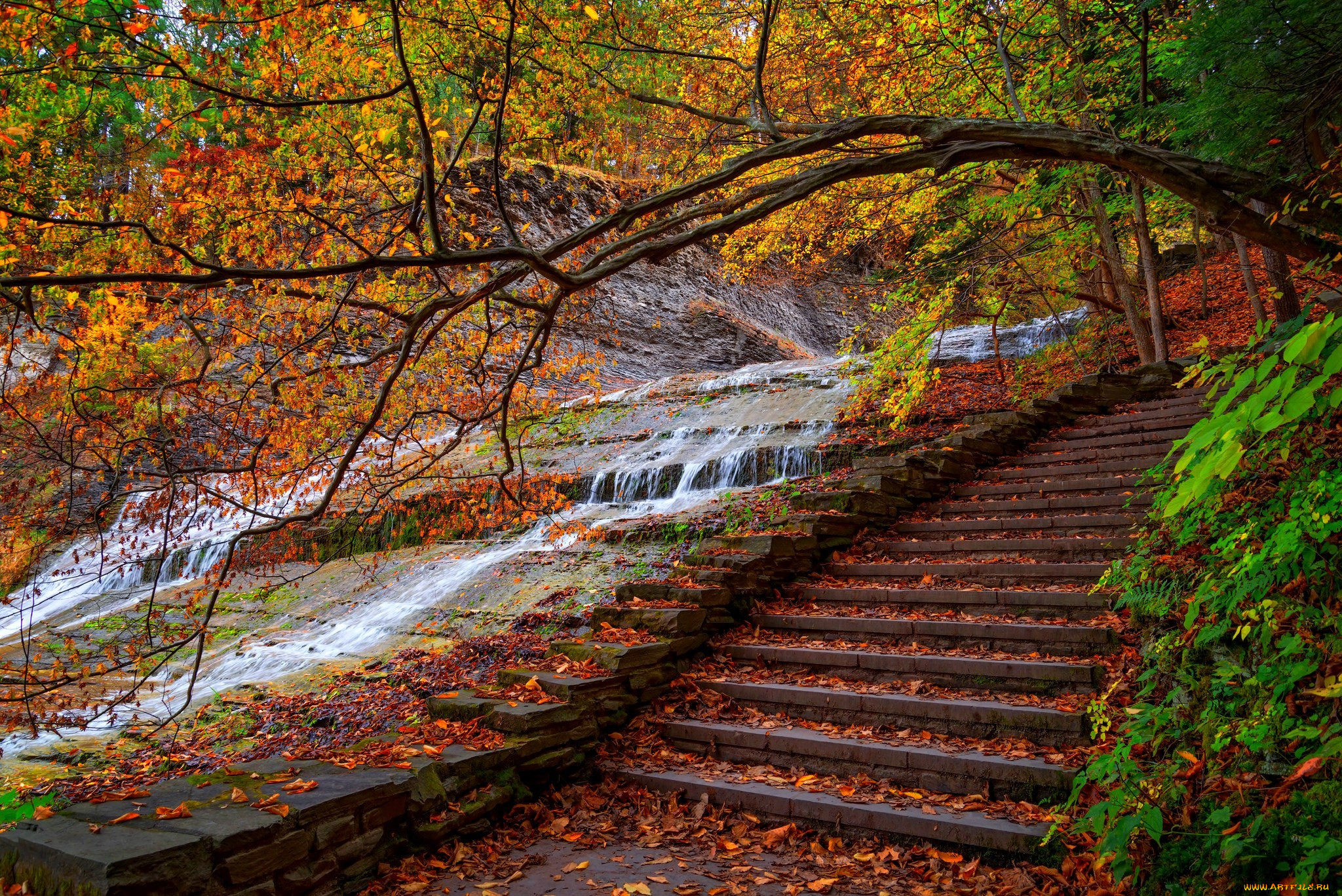 Fell autumn. Нескучный сад лестница. Осенний парк. Лестница в парке. Осенняя лестница.